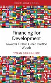 Financing for Development (eBook, ePUB)