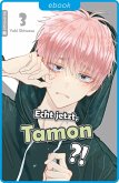 Echt jetzt, Tamon? 03 (eBook, ePUB)
