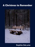 A Christmas to Remember (eBook, ePUB)