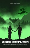 Aschesturm (eBook, ePUB)