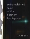 Self-proclaimed Saint of the Northern Hemisphere (eBook, ePUB)