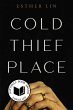 Cold Thief Place (eBook, ePUB) - Bild 1