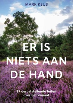 Cover Er is niets aan de hand (eBook, ePUB)