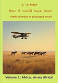How it could have been (eBook, ePUB) How it could have been (eBook, ePUB)