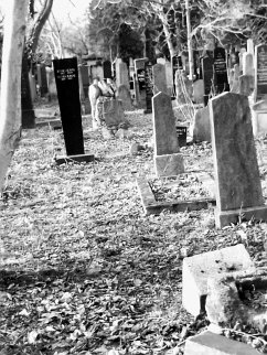 Cover Der schwarze Rabe (eBook, ePUB)