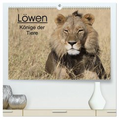 Cover Löwen - Könige der Tiere (hochwertiger Premium Wandkalender 2026 DIN A2 quer), Kunstdruck in Hochglanz