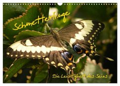 Schmetterlinge (Wandkalender 2026 DIN A3 quer), CALVENDO Monatskalender
