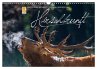 Emotionale Momente: Hirschbrunft... - Bild 1
