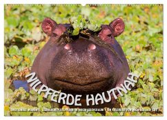 Emotionale Momente: Nilpferde hautnah (Wandkalender 2026 DIN A2 quer), CALVENDO Monatskalender Emotionale Momente: Nilpferde hautnah (Wandkalender 2026 DIN A2 quer), CALVENDO Monatskalender