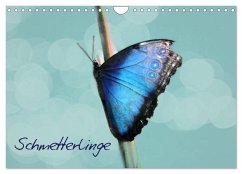 Cover Schmetterlinge (Wandkalender 2026 DIN A4 quer), CALVENDO Monatskalender