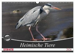 Heimische Tiere (Wandkalender 2026 DIN A3 quer), CALVENDO Monatskalender Heimische Tiere (Wandkalender 2026 DIN A3 quer), CALVENDO Monatskalender