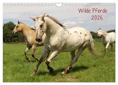 Wilde Pferde (Wandkalender 2026 DIN A4 quer), CALVENDO Monatskalender