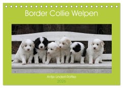 Border Collie Welpen (Tischkalender 2026 DIN A5 quer), CALVENDO Monatskalender Border Collie Welpen (Tischkalender 2026 DIN A5 quer), CALVENDO Monatskalender