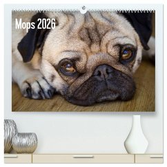 Mops 2026 (hochwertiger Premium Wandkalender 2026 DIN A2 quer), Kunstdruck in Hochglanz