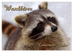 Waschbären (Wandkalender 2026 DIN A3 quer), CALVENDO Monatskalender Waschbären (Wandkalender 2026 DIN A3 quer), CALVENDO Monatskalender