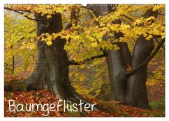 Cover Baumgeflüster (Wandkalender 2026 DIN A2 quer), CALVENDO Monatskalender