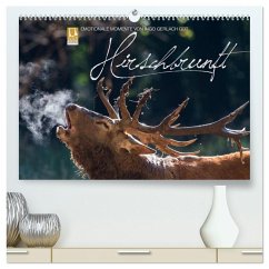 Emotionale Momente: Hirschbrunft (hochwertiger Premium Wandkalender 2026 DIN A2 quer), Kunstdruck in Hochglanz Emotionale Momente: Hirschbrunft (hochwertiger Premium Wandkalender 2026 DIN A2 quer), Kunstdruck in Hochglanz