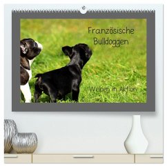 Französische Bulldoggen (hochwertiger Premium Wandkalender 2026 DIN A2 quer), Kunstdruck in Hochglanz Cover Französische Bulldoggen (hochwertiger Premium Wandkalender 2026 DIN A2 quer), Kunstdruck in Hochglanz