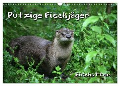 Putzige Fischjäger (Wandkalender 2026 DIN A3 quer), CALVENDO Monatskalender Putzige Fischjäger (Wandkalender 2026 DIN A3 quer), CALVENDO Monatskalender