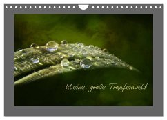 Cover Kleine, große Tropfenwelt (Wandkalender 2026 DIN A4 quer), CALVENDO Monatskalender
