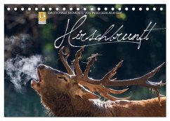 Emotionale Momente: Hirschbrunft (Tischkalender 2026 DIN A5 quer), CALVENDO Monatskalender Emotionale Momente: Hirschbrunft (Tischkalender 2026 DIN A5 quer), CALVENDO Monatskalender