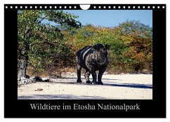Wildtiere im Etosha Nationalpark (Wandkalender 2026 DIN A4 quer), CALVENDO Monatskalender