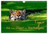 Tiger - die leisen Jäger des... - Bild 1