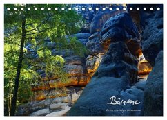 Bäume (Tischkalender 2026 DIN A5 quer), CALVENDO Monatskalender