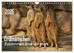 Erdmännchen - Zusammen sind wir stark (Wandkalender 2026 DIN A4 quer), CALVENDO Monatskalender Erdmännchen - Zusammen sind wir stark (Wandkalender 2026 DIN A4 quer), CALVENDO Monatskalender