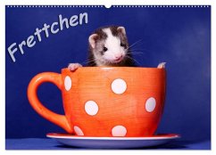 Frettchen - Ferrets (Wandkalender 2026 DIN A2 quer), CALVENDO Monatskalender Frettchen - Ferrets (Wandkalender 2026 DIN A2 quer), CALVENDO Monatskalender