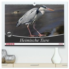 Heimische Tiere (hochwertiger Premium Wandkalender 2026 DIN A2 quer), Kunstdruck in Hochglanz Heimische Tiere (hochwertiger Premium Wandkalender 2026 DIN A2 quer), Kunstdruck in Hochglanz