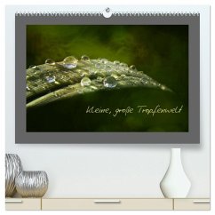 Cover Kleine, große Tropfenwelt (hochwertiger Premium Wandkalender 2026 DIN A2 quer), Kunstdruck in Hochglanz