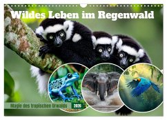 Wildes Leben im Regenwald (Wandkalender 2026 DIN A3 quer), CALVENDO Monatskalender Wildes Leben im Regenwald (Wandkalender 2026 DIN A3 quer), CALVENDO Monatskalender