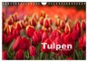 Tulpen (Wandkalender 2026 DIN A4 quer),... - Bild 1