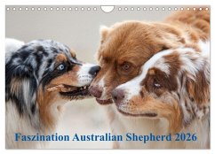 Cover Australian Shepherd 2026 (Wandkalender 2026 DIN A4 quer), CALVENDO Monatskalender