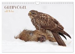 Cover GREIFVÖGEL wild & frei (Wandkalender 2026 DIN A4 quer), CALVENDO Monatskalender