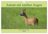 Anmut mit sanften Augen - Rehwild in... - Bild 1