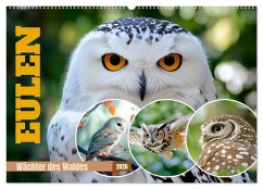 EULEN Wächter des Waldes (Wandkalender 2026 DIN A2 quer), CALVENDO Monatskalender EULEN Wächter des Waldes (Wandkalender 2026 DIN A2 quer), CALVENDO Monatskalender