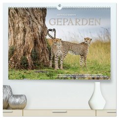 Emotionale Momente: Geparden (hochwertiger Premium Wandkalender 2026 DIN A2 quer), Kunstdruck in Hochglanz Emotionale Momente: Geparden (hochwertiger Premium Wandkalender 2026 DIN A2 quer), Kunstdruck in Hochglanz