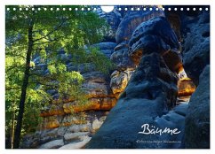 Bäume (Wandkalender 2026 DIN A4 quer), CALVENDO Monatskalender