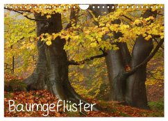 Cover Baumgeflüster (Wandkalender 2026 DIN A4 quer), CALVENDO Monatskalender