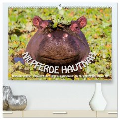 Emotionale Momente: Nilpferde hautnah (hochwertiger Premium Wandkalender 2026 DIN A2 quer), Kunstdruck in Hochglanz Emotionale Momente: Nilpferde hautnah (hochwertiger Premium Wandkalender 2026 DIN A2 quer), Kunstdruck in Hochglanz