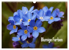 Blumige Farben (Wandkalender 2026 DIN A3 quer), CALVENDO Monatskalender Blumige Farben (Wandkalender 2026 DIN A3 quer), CALVENDO Monatskalender