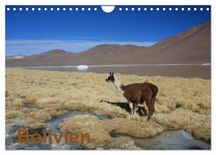 Cover Bolivien (Wandkalender 2026 DIN A4 quer), CALVENDO Monatskalender