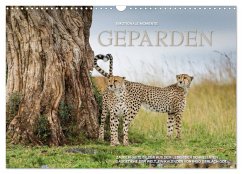 Emotionale Momente: Geparden (Wandkalender 2026 DIN A3 quer), CALVENDO Monatskalender Emotionale Momente: Geparden (Wandkalender 2026 DIN A3 quer), CALVENDO Monatskalender