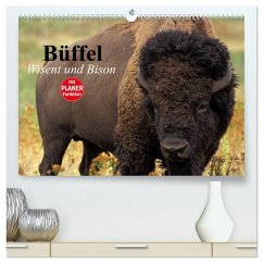 Cover Büffel. Wisent und Bison (hochwertiger Premium Wandkalender 2026 DIN A2 quer), Kunstdruck in Hochglanz