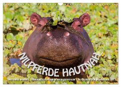 Emotionale Momente: Nilpferde hautnah (Wandkalender 2026 DIN A3 quer), CALVENDO Monatskalender Emotionale Momente: Nilpferde hautnah (Wandkalender 2026 DIN A3 quer), CALVENDO Monatskalender