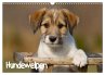 Hundewelpen (Wandkalender 2026 DIN A3... - Bild 1