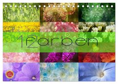 12 Farben (Tischkalender 2026 DIN A5 quer), CALVENDO Monatskalender