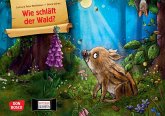 Wie schläft der Wald? Kamishibai Bildkartenset Wie schläft der Wald? Kamishibai Bildkartenset